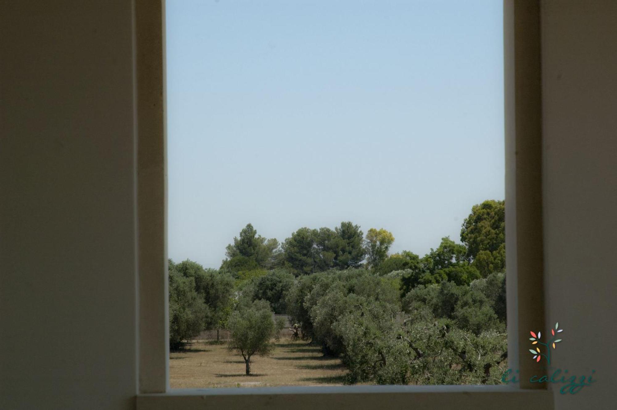 Agriturismo Li Calizzi Arte E Natura Novoli Номер фото
